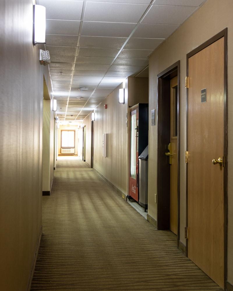 Red Roof Inn Newport News - Йорктаун Экстерьер фото